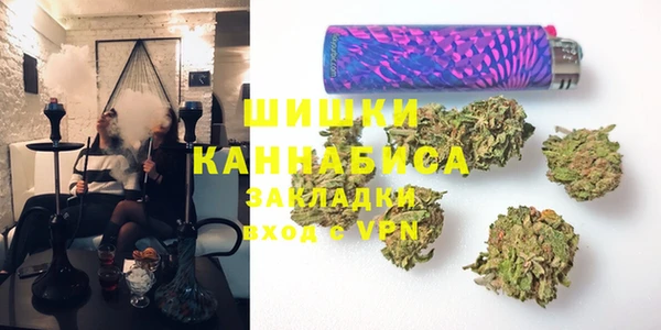 шишки Белоозёрский